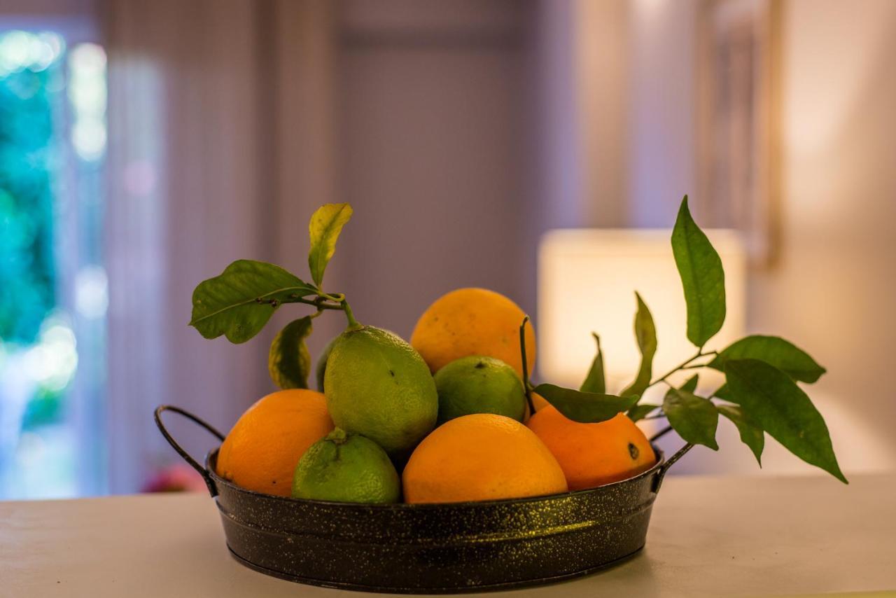 Regalo Apartment